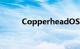 CopperheadOS是什么知识介绍
