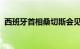 西班牙首相桑切斯会见乌克兰总统泽连斯基