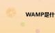 WAMP是什么知识介绍