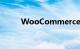 WooCommerce是什么知识介绍