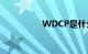 WDCP是什么知识介绍