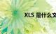 XLS 是什么文件知识介绍