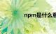 npm是什么意思知识介绍