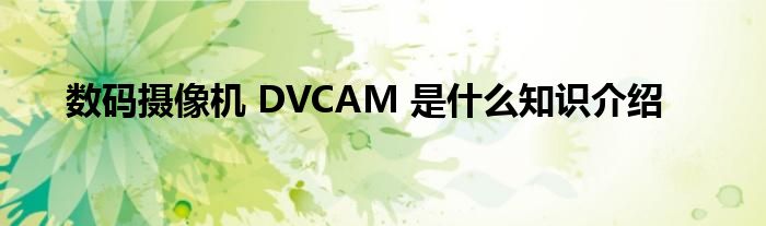 数码摄像机 DVCAM 是什么知识介绍