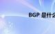 BGP 是什么知识介绍