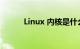 Linux 内核是什么意思知识介绍