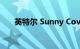 英特尔 Sunny Cove 是什么知识介绍