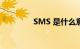 SMS 是什么意思知识介绍