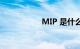 MIP 是什么知识介绍