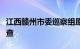 江西赣州市委巡察组原组长黄一新接受审查调查