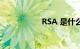 RSA 是什么知识介绍