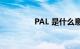 PAL 是什么意思知识介绍