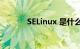 SELinux 是什么意思知识介绍