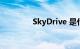 SkyDrive 是什么知识介绍