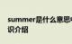 summer是什么意思中文 summer的解释知识介绍