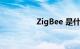 ZigBee 是什么知识介绍