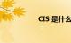 CIS 是什么知识介绍