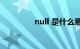 null 是什么意思知识介绍