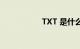 TXT 是什么知识介绍