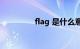 flag 是什么意思知识介绍