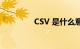 CSV 是什么意思知识介绍