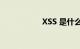 XSS 是什么知识介绍