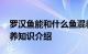 罗汉鱼能和什么鱼混养 什么鱼能和罗汉鱼混养知识介绍