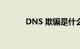 DNS 欺骗是什么意思知识介绍