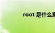 root 是什么意思知识介绍