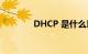 DHCP 是什么意思知识介绍