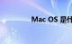 Mac OS 是什么知识介绍
