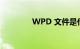 WPD 文件是什么知识介绍