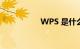 WPS 是什么知识介绍