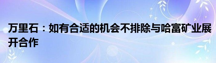 万里石：如有合适的机会不排除与哈富矿业展开合作