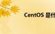 CentOS 是什么知识介绍