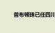 普布顿珠已任四川省政府党组成员