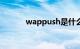 wappush是什么功能知识介绍