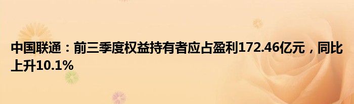 中国联通：前三季度权益持有者应占盈利172.46亿元，同比上升10.1%