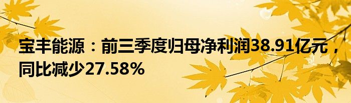 宝丰能源：前三季度归母净利润38.91亿元，同比减少27.58%