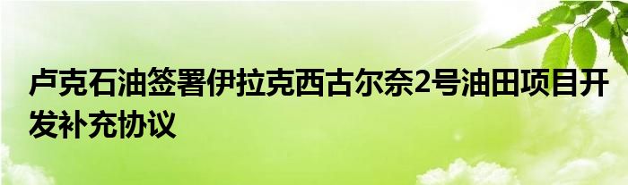 卢克石油签署伊拉克西古尔奈2号油田项目开发补充协议