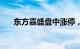 东方嘉盛盘中涨停，已连收5个涨停板