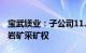 宝武镁业：子公司11.68亿元竞得大朴村白云岩矿采矿权