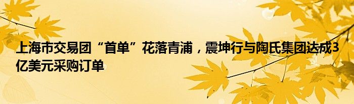 上海市交易团“首单”花落青浦，震坤行与陶氏集团达成3亿美元采购订单
