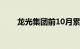 龙光集团前10月累计交付约3.7万套