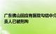 广东佛山回应有医院勾结中介贩卖出生证：涉事医院相关负责人已被刑拘