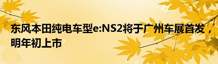 东风本田纯电车型e:NS2将于广州车展首发，明年初上市