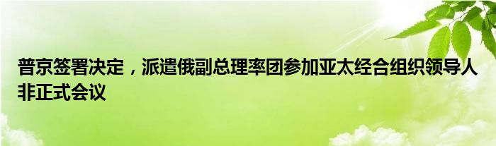 普京签署决定，派遣俄副总理率团参加亚太经合组织领导人非正式会议