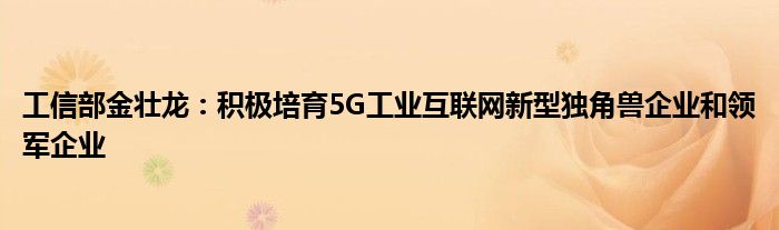 工信部金壮龙：积极培育5G工业互联网新型独角兽企业和领军企业