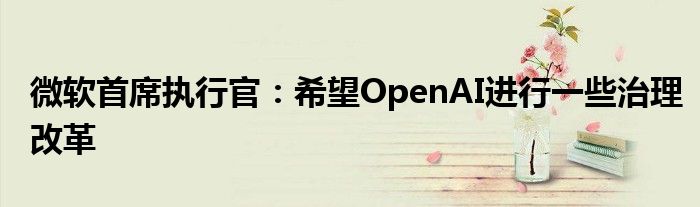 微软首席执行官：希望OpenAI进行一些治理改革