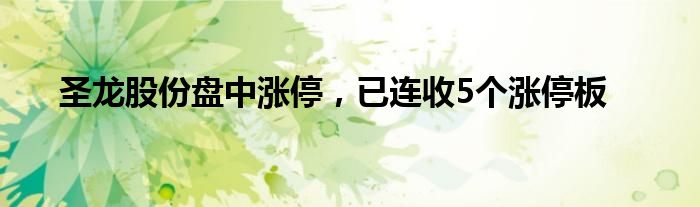 圣龙股份盘中涨停，已连收5个涨停板